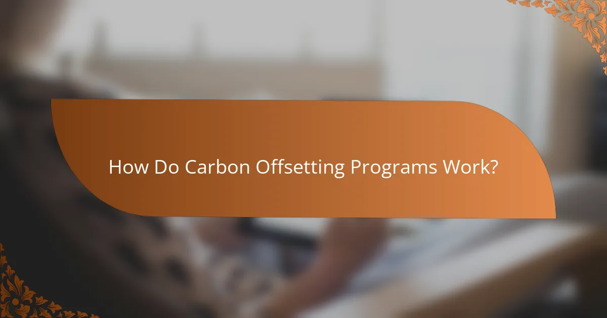 How Do Carbon Offsetting Programs Work?