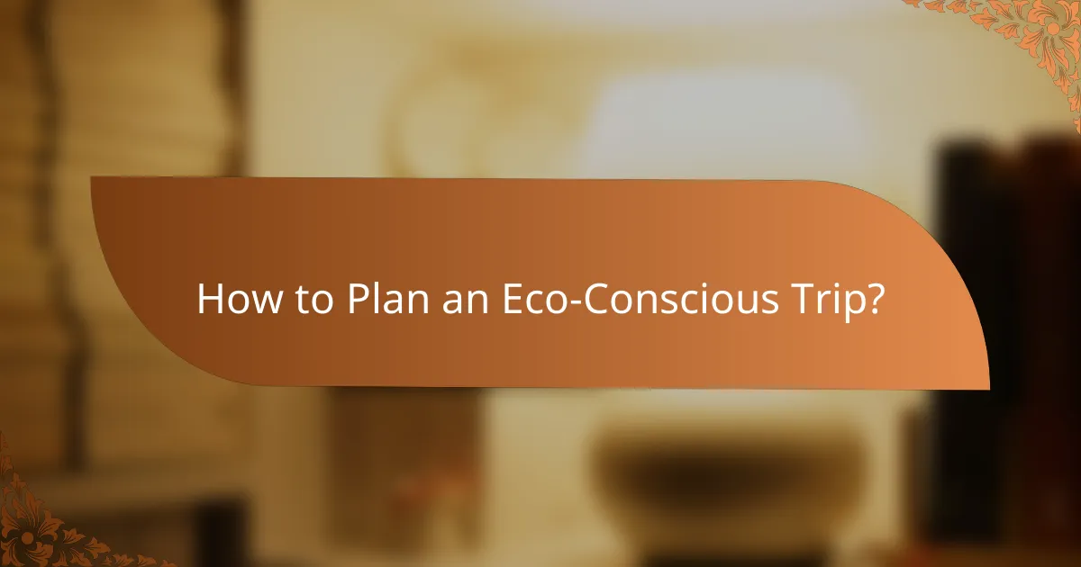 How to Plan an Eco-Conscious Trip?
