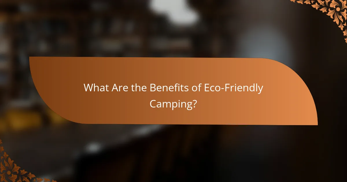 What Are the Benefits of Eco-Friendly Camping?
