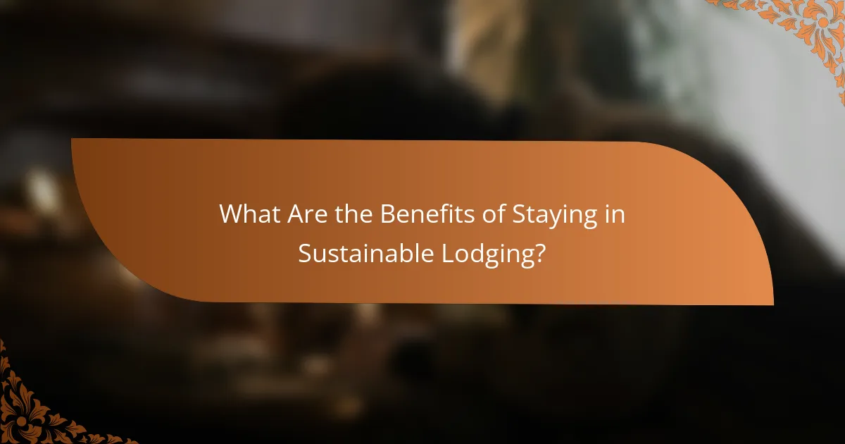 What Are the Benefits of Staying in Sustainable Lodging?