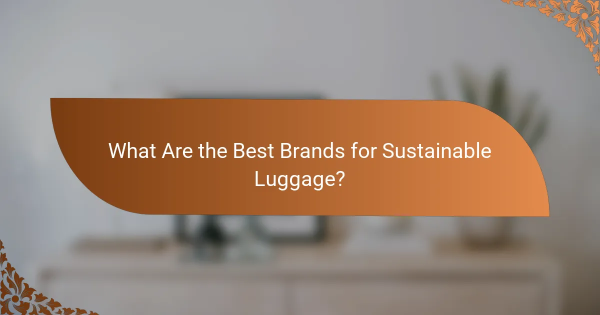 What Are the Best Brands for Sustainable Luggage?