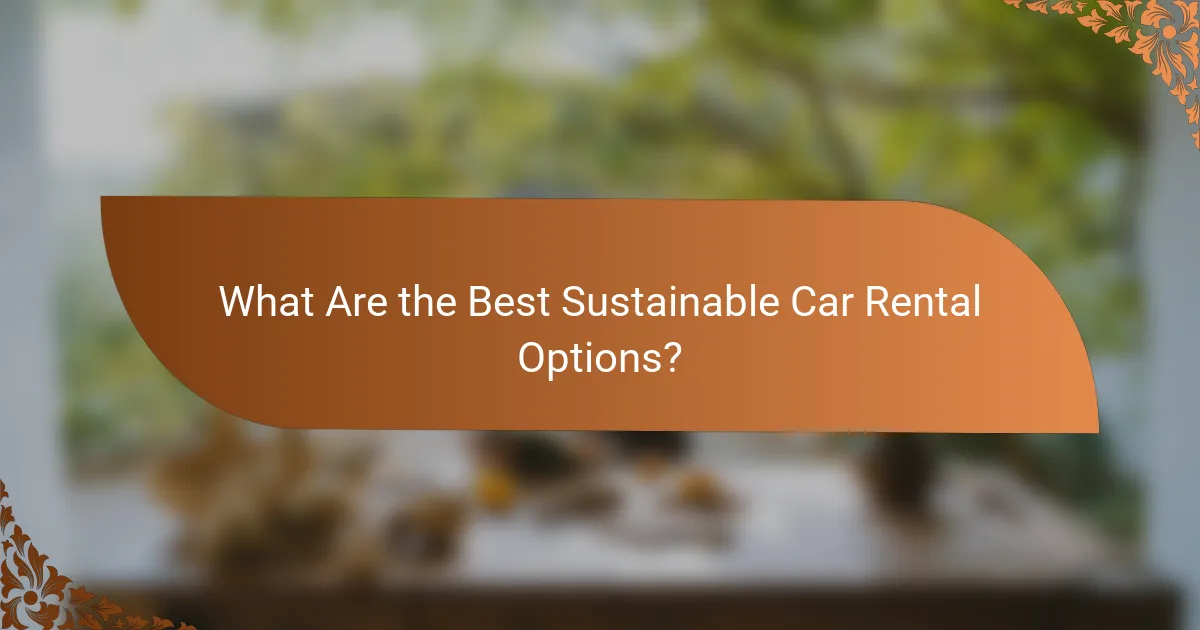 What Are the Best Sustainable Car Rental Options?