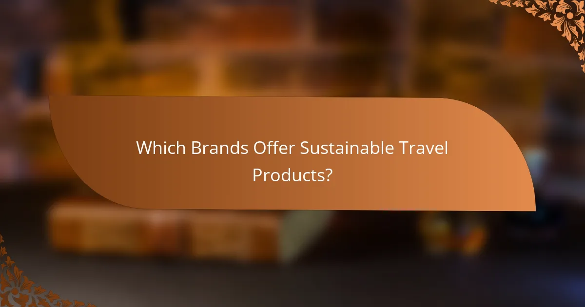 Which Brands Offer Sustainable Travel Products?